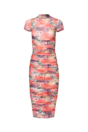 Brynn Short Sleeve Dress in Multicolor Floral